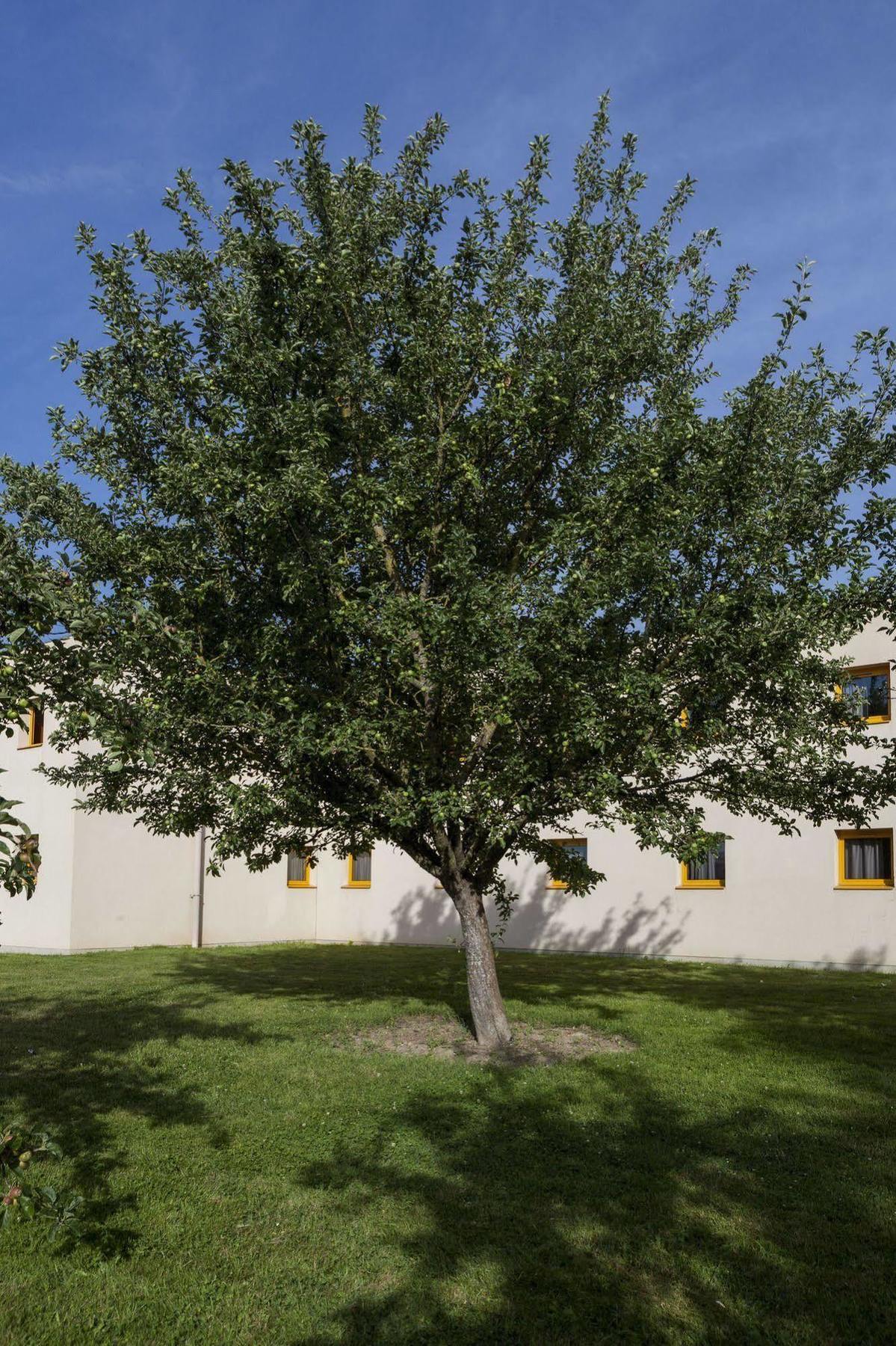 B&B Hotel Angers Parc Expos Verrieres-en-Anjou Εξωτερικό φωτογραφία